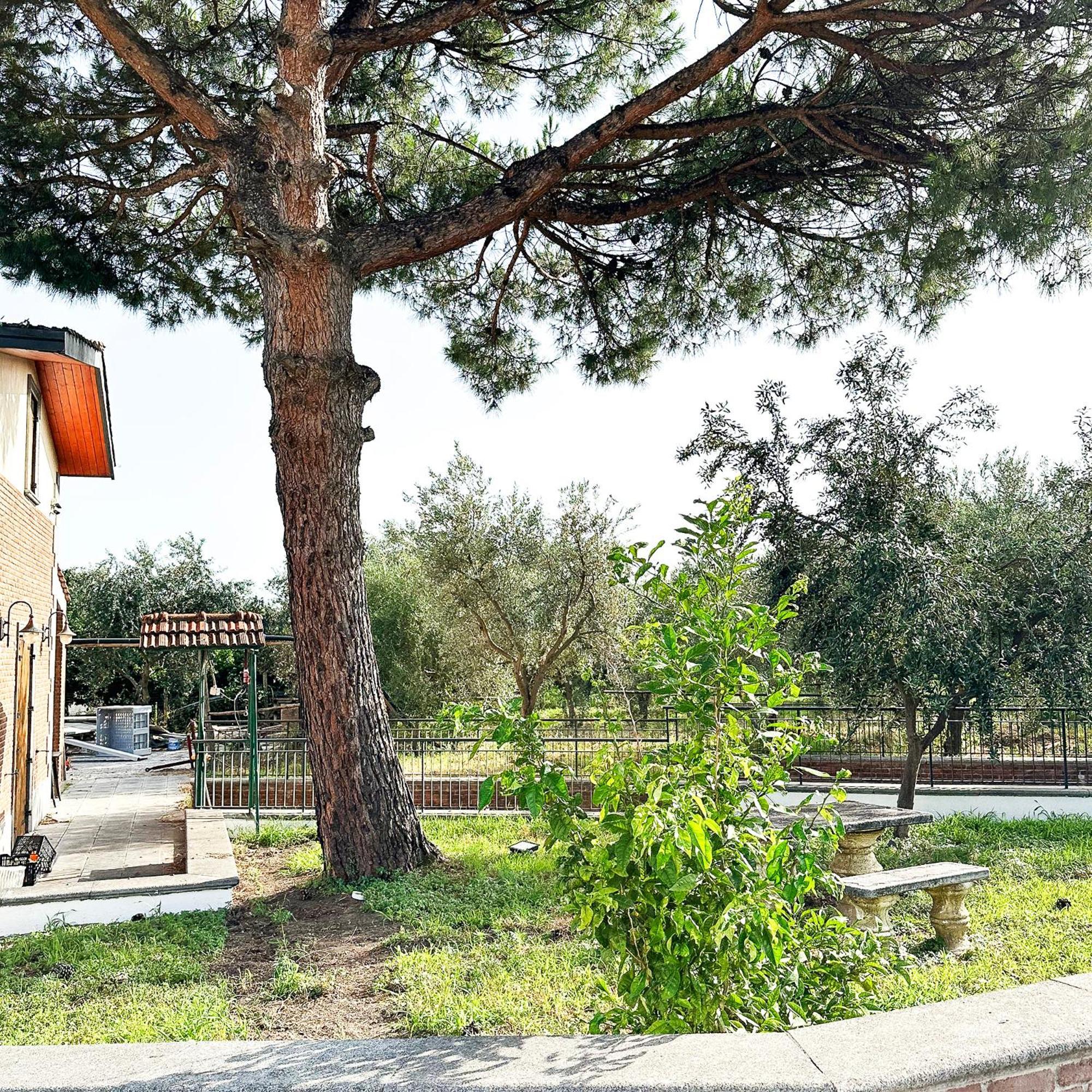 Tenuta Nunziata - Food, Event, Biofarm Torre Annunziata Esterno foto