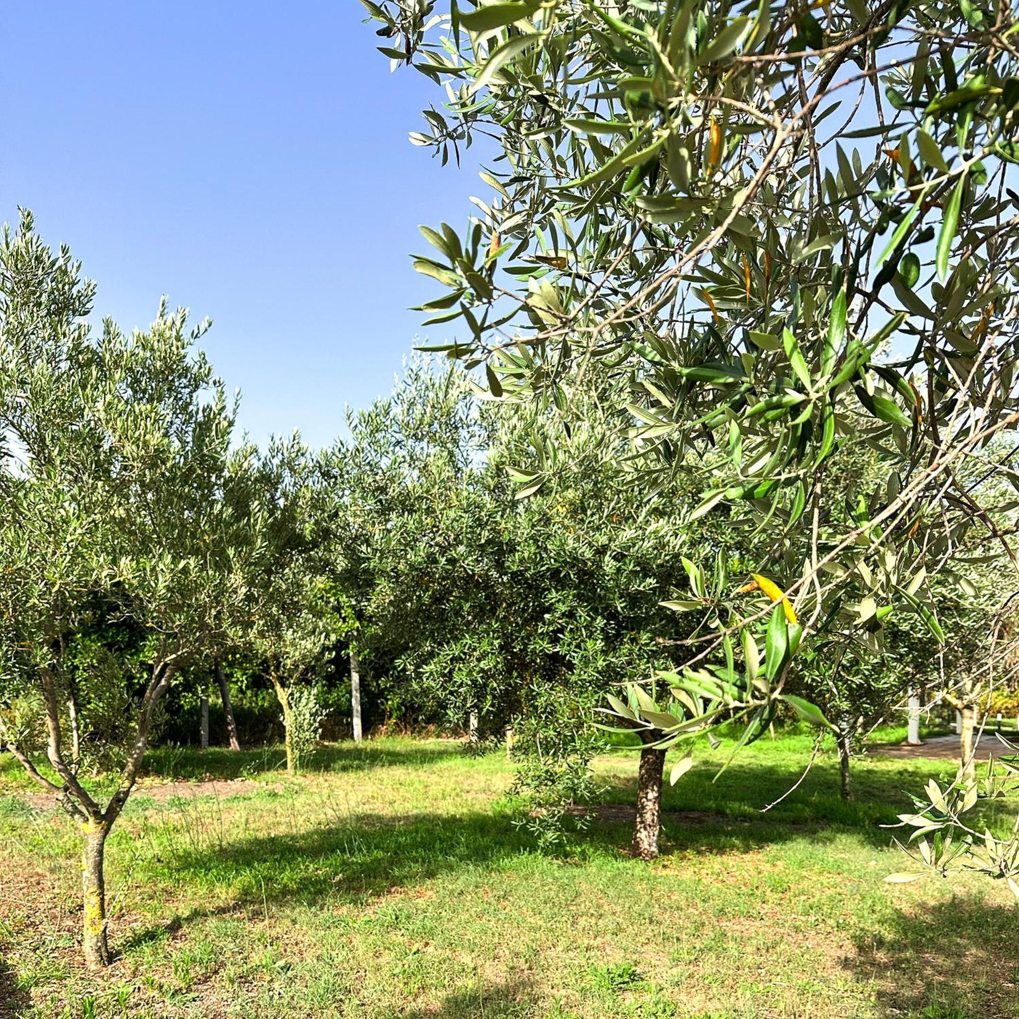 Tenuta Nunziata - Food, Event, Biofarm Torre Annunziata Esterno foto